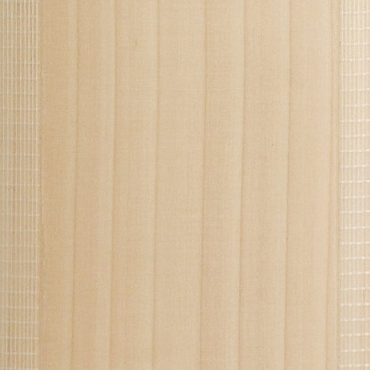 Gray Nicolls Bladetec Bat Facing