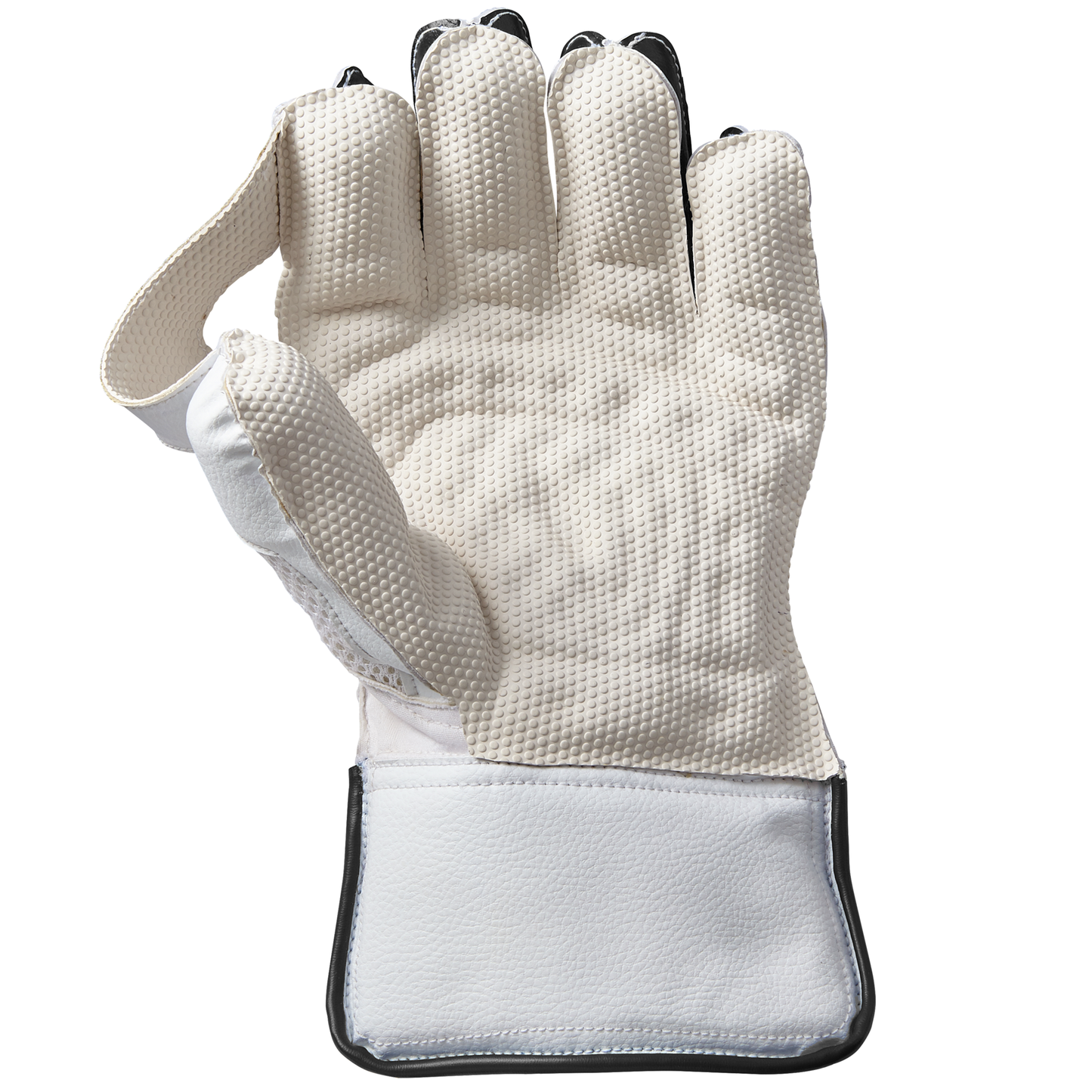 Gunn & Moore Aion Wicket Keeping Gloves