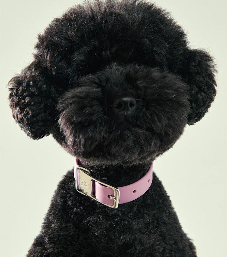 Frank Green Pet Collar + Name Tag - Khaki/Silver