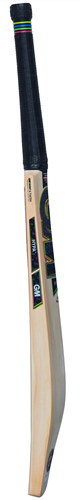 Gunn & Moore Hypa DXM Original GM Now! & Toetek Cricket Bat - Short Handle