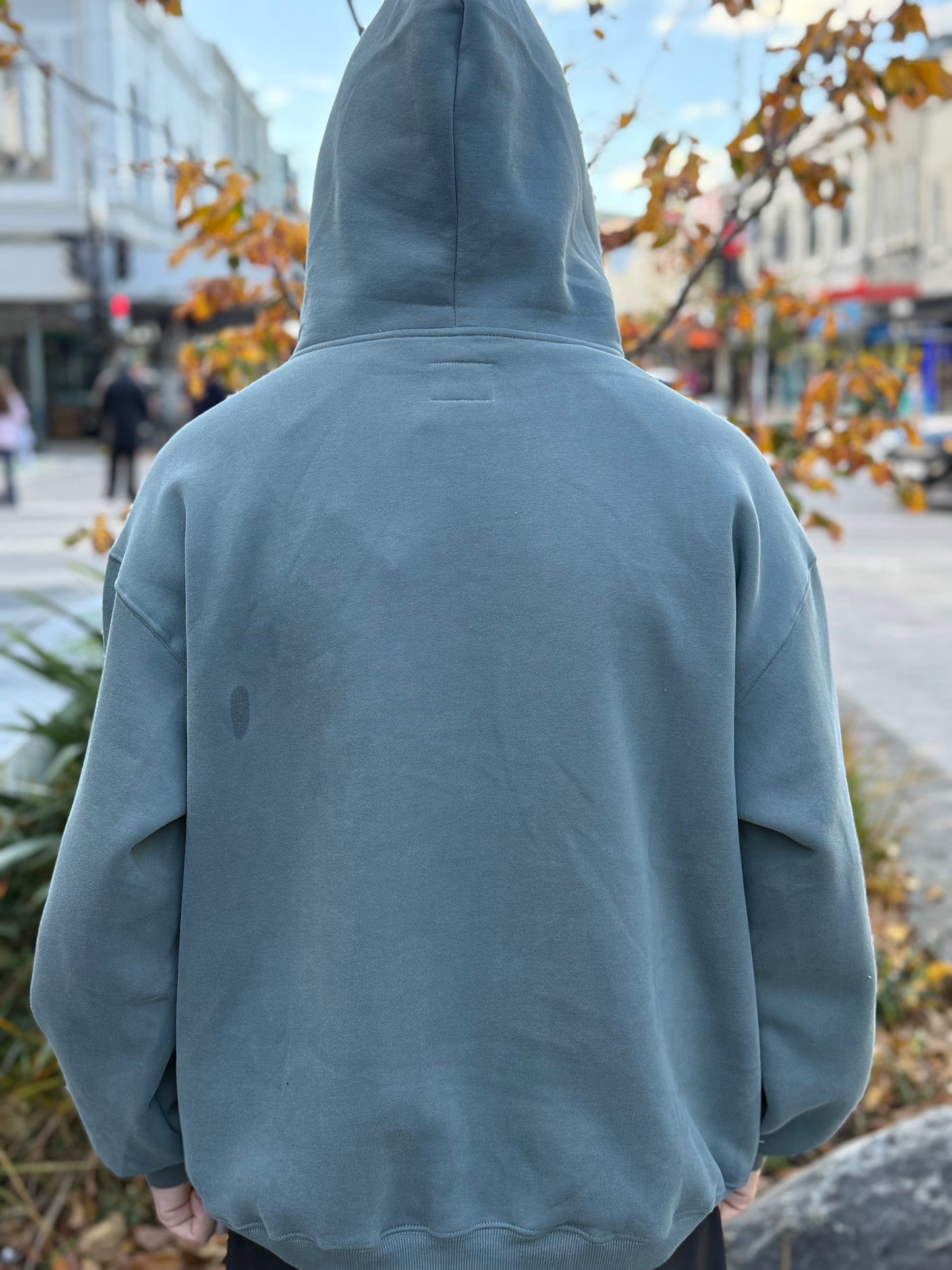 Arby & Opal Unisex Full Length Embossed Hoodie - Sea Green