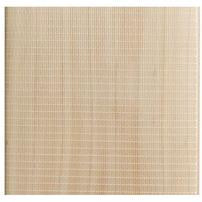 Gray Nicolls Fibretec