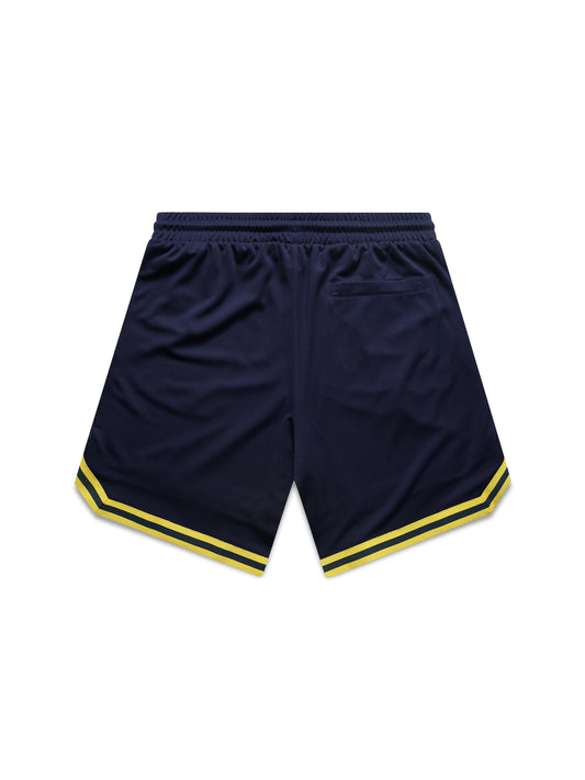 NCAA Team Logo Mesh Shorts - Michigan Wolverines