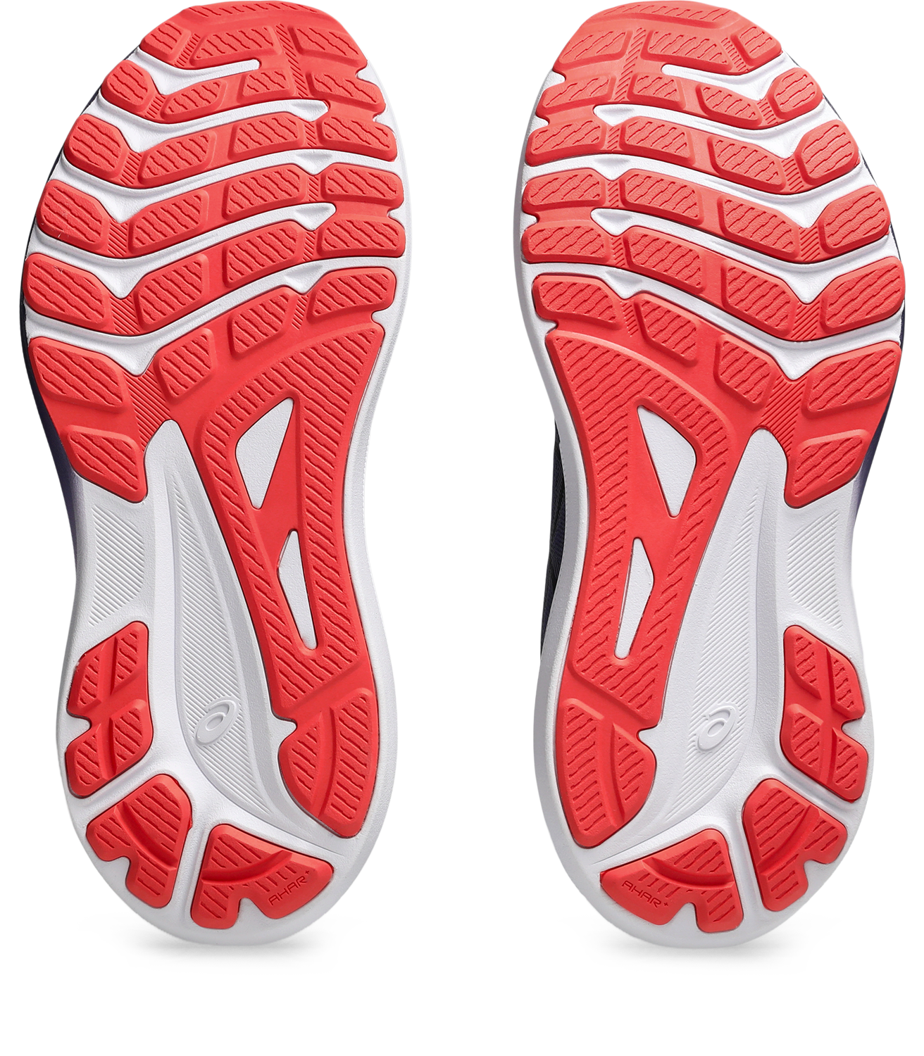 Asics Womens GT 1000 13 (D Wide) - Indigo Fog/White