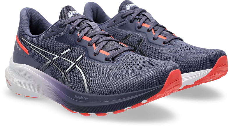 Asics Womens GT 1000 13 (D Wide) - Indigo Fog/White