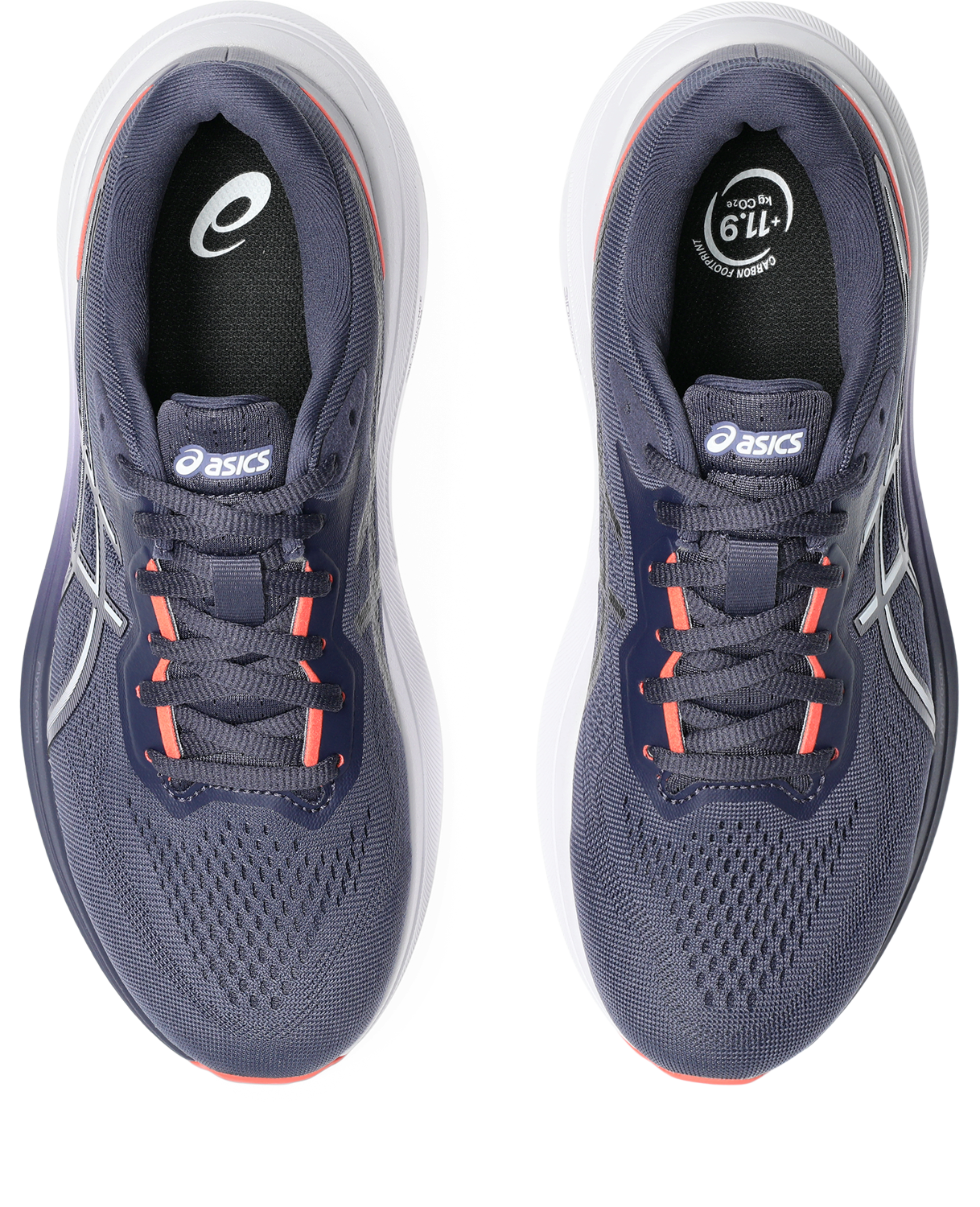 Asics Womens GT 1000 13 (D Wide) - Indigo Fog/White
