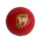 Gray Nicolls Poly Soft Cricket Ball