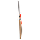 Gray Nicolls Prestige Cricket Bat - Junior