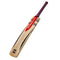 Gray Nicolls Crest Light Cricket Bat - Short Handle