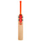 Gray Nicolls Colossus Bat - Short Handle