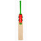 Gray Nicolls Fusion Players Edition Cricket Bat - Short Handle