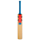 Gray Nicolls Arctos Superblade (Ready Play) Cricket Bat - Junior