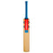 Gray Nicolls Arctos Superblade (Ready Play) Cricket Bat - Junior