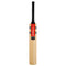 Gray Nicolls Spectre Drive (Premium Kashmir Willow) Cricket Bat - Short Handle