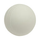 Gray Nicolls Foamsoft Ball - White