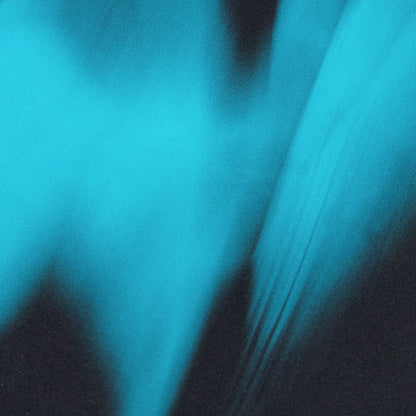 Speedo Womens Calypso Shaping One Piece - Black/Ocean Depths/Mystic