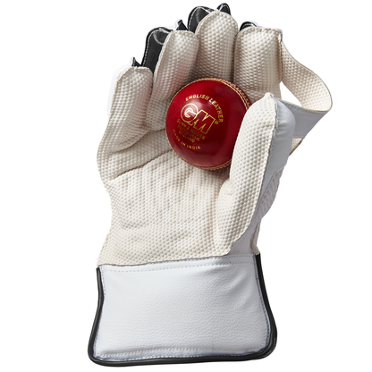 Gunn & Moore Aion Wicket Keeping Gloves