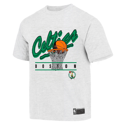 NBA Essentials Boston Celtics Hamilton Vintage Tee - Silver Marle