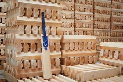 Gunn & Moore Brava DXM LE GM Now! & Toetek Cricket Bat - Short Handle