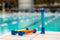 Zoggs Seal Dive Sticks