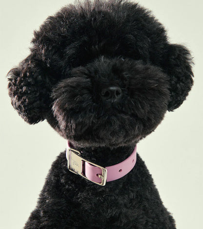 Frank Green Pet Collar + Name Tag - Khaki/Silver