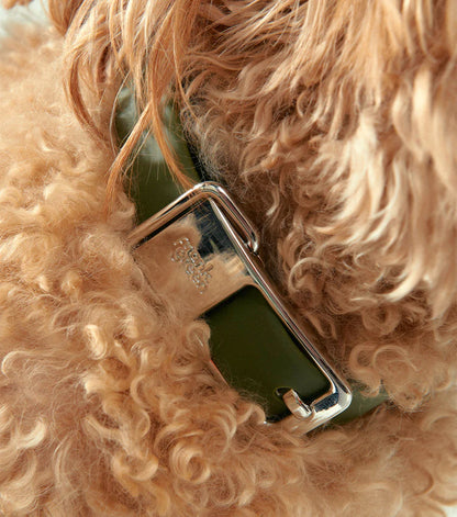 Frank Green Pet Collar + Name Tag - Khaki/Silver
