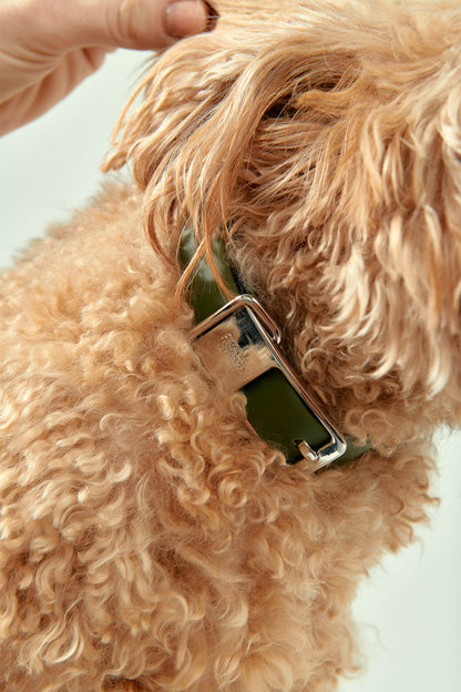 Frank Green Pet Collar + Name Tag - Khaki/Silver