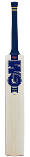 Gunn & Moore Brava DXM Original GM Now & Toetek Cricket Bat