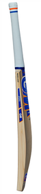 Gunn & Moore Sparq Premier Cricket Bat - Short Handle