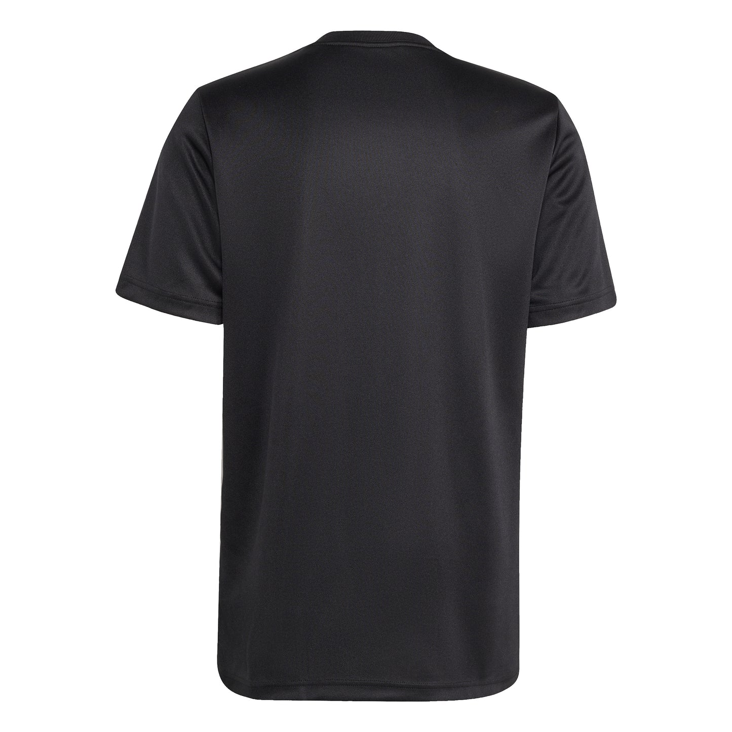 Adidas Mens All Blacks Supporters Tee 2026