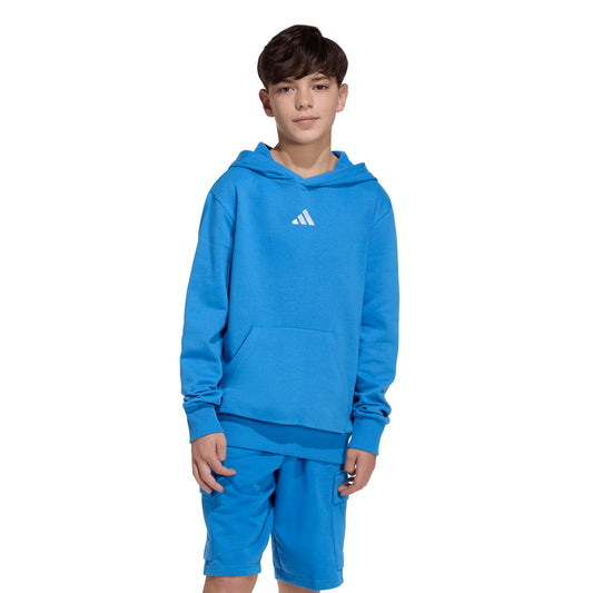 Adidas Kids Essentials Hoodie - Ray Blue