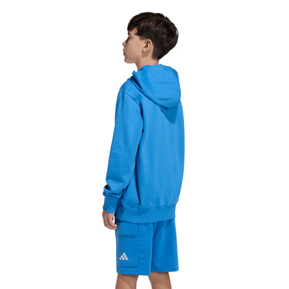 Adidas Kids Essentials Hoodie - Ray Blue
