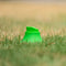 Steeden Telescopic Kicking Tee - Green