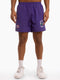 Mitch & Ness Mens Hornets 1993 Playoff Shorts - Hornet Purple