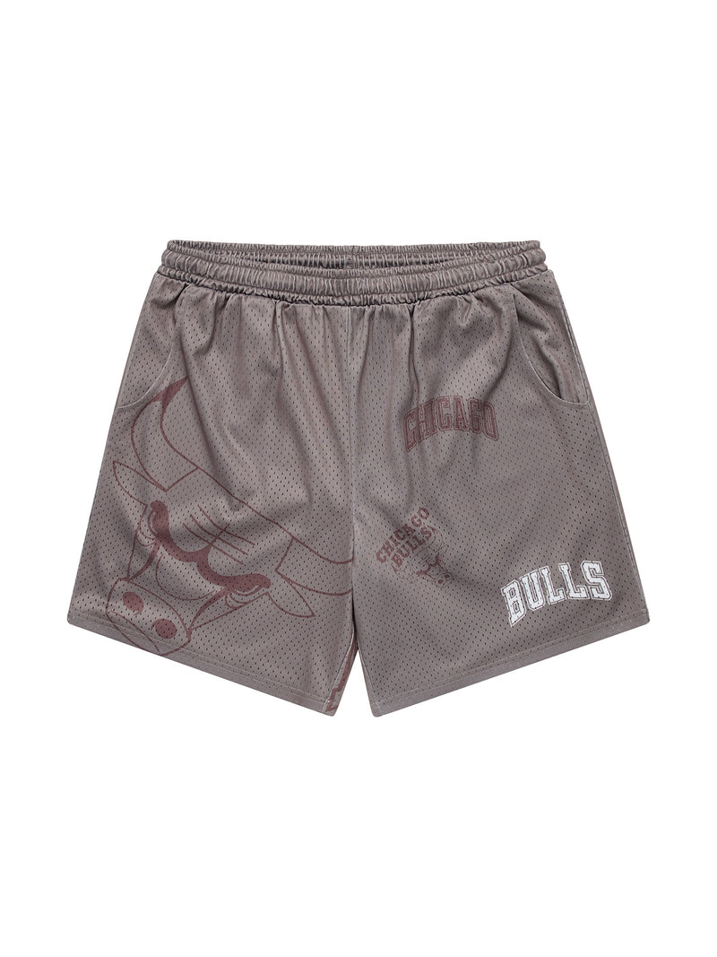 NBA Essentials Chicago Bulls Wallace Youth Mesh Shorts - Taupe