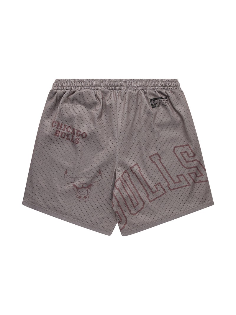 NBA Essentials Chicago Bulls Wallace Youth Mesh Shorts - Taupe