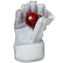 Gunn & Moore Original LE Cricket Wicket Keeping Gloves - White