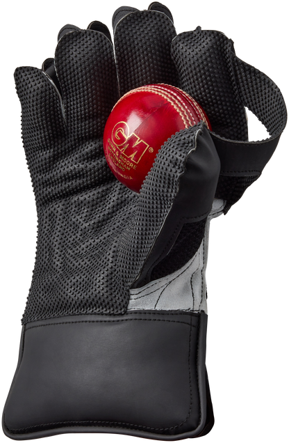 Palm view of Gunn & Moore Rival 909 Wicketkeeping Glove showing rubber grip pattern and T-webbing.