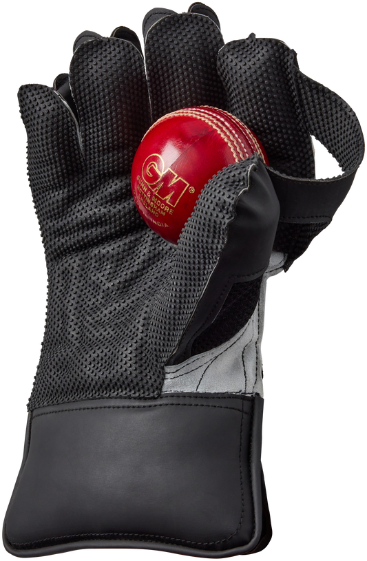 Palm view of Gunn & Moore Rival 909 Wicketkeeping Glove showing rubber grip pattern and T-webbing.