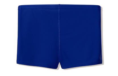 Speedo Boys Medley Logo Aquashort - Nightwatch/Hyperteal