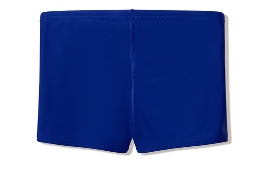 Speedo Boys Medley Logo Aquashort - Nightwatch/Hyperteal