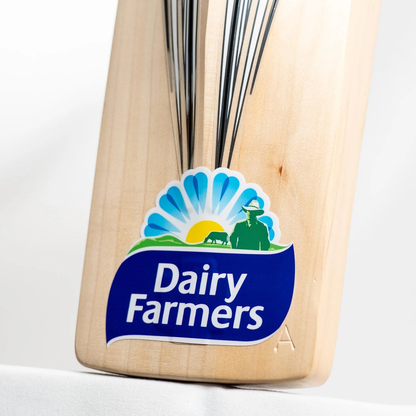 Gray Nicolls Travis Head 123 Replica (Natural) Cricket Bat - Short Handle