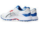 Asics Mens Gel Gully 7 Cricket Shoe - White/Pure Silver
