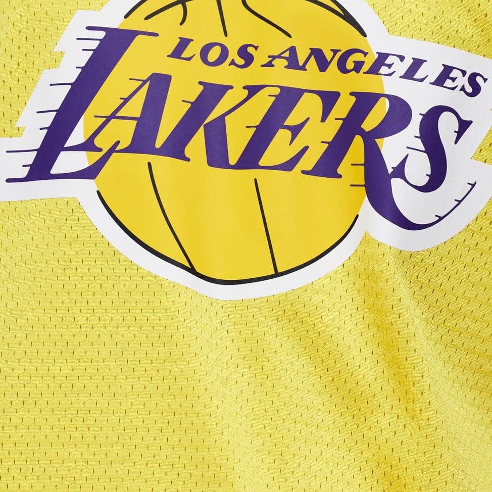 NBA Essentials Kids LA Lakers Name and Number Singlet - Lebron James