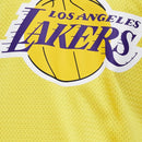NBA Essentials Kids LA Lakers Name and Number Singlet - Lebron James