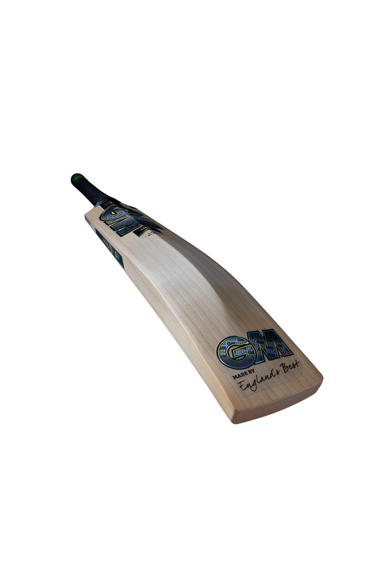 Gunn & Moore Aion Original Cricket Bat - Short Handle