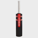 Gray Nicolls Cloud Catcher Bat