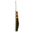 Gray Nicolls Cloud Catcher Bat