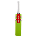 Gray Nicolls Cloud Catcher Bat