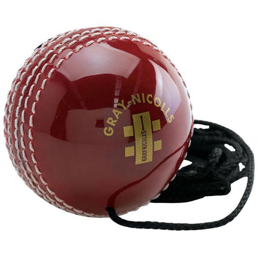 Gray Nicolls Batting Master Cricket Ball